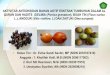 AKTIVITAS ANTIOKSIDAN BAHAN AKTIF ESKTRAK …repository.uin-malang.ac.id/4416/2/4416.pdfMaserasi simplisia kering dengan pelarut methanol pembuatan simplisia kering dari buah . Masing-masing