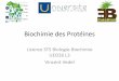 Biochimie des Protéines - EcoFoG · Biochimie, Eds De Boeck. (plus gros mais avec tout dedans notamment les techniques de purif.) •BCM-514 Biochimie des protéines de Benoit Leblanc,