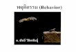 พฤติกรรม (Behavior)bio.flas.kps.ku.ac.th/courses/111/behavior2.pdfพฤติกรรมของสัตว์แบ่งตามวัตถุประสงค์