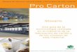 Glosario de términos sobre el cartón y los envases de ... - Pro Carton · Pro Carton Glosario Una guía de la terminología utilizada en la industria de la fabricación de cartón