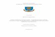 PANNON EGYETEM Gazdálkodás- és Szervezéstudományok …real-phd.mtak.hu/599/1/Nyerki_Emil_dissertation.pdf · 2018-02-01 · PANNON EGYETEM Gazdálkodás- és Szervezéstudományok
