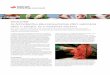 Vincent ter Beek Az Actinobacillus pleuropneumoniae elleni ... - MSD Animal Health · gyulladás-értékelési rendszernek – az angol név (Slaugh ter - house Pleurisy Evaluation