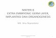 MATERI 8 EXTRA EMBRYONIC GERM LAYER, IMPLANTASI …reproduksiternak.lecture.ub.ac.id/files/2013/09/MATERI-8-extra-embryonik.pdf•Implantasi •Pembelahan ectoderm, mesoderm dan endoderm