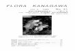 FLORA KANAGAWAflora-kanagawa2.sakura.ne.jp/fk/fk41.pdfサカネランvar.nidus-avis と呼ぶ。北海道，サハリン，シベリア，ヨーロッパに分布 し，一部の地域では混生していると言う。属名のNeottiaネオッチアはギリシャ語の