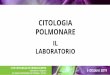CITOLOGIA POLMONAREterminali, alveoli ( pneumociti di tipo 1 e ... lStriscio del materiale prelevato su vetrini lFissazione in alcool 95°o spray lConsegna in laboratorio lColorazione