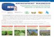 AMINOSPRINT MAGNESIO - Morami · pepiniere horticultara pomi fructiferi si vita de vie floricultura aminoacizi totali solubil in apa utilizare la radacina 100% agricultura permis
