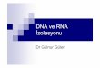 DNA ve RNA - FenceBilimDNA Ekstraksiyonu Tüm fiksatifler DNA’ya bir miktar zarar verir Özellikle pikrik asit içeren fiksatifler ve yüksek konsantrasyonlu asitler DNA’yı parçalar