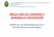 Presentación de PowerPoint - Consejo de Enfermería de la ...portalcecova.es/output/files/EDUCACION_EBOLA.pdf · FORMAS DE CONTAGIO INTERHUMANO. RESUMEN (6) ... Contagio de enfermos