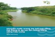 Chuyển nước trong Hạ lưu vực sông Mê Kông & áp lực lên ...nature.org.vn/vn/wp-content/uploads/2016/09/220916_chuyennuocMeKong.pdfmột số nơi ba vụ/năm và thậm
