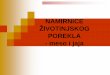 ŽIVOTINJSKOG POREKLA - meso i jajastudenti.mojsajt.rs/uploads/20177/documents/1_DEO_ISHRANA_-_6..pdf · 2.mesto vezivanja halaze za tanku opnu 3.halaza 4.kutikula 5.žumance 6.klicin