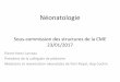 Néonatologie - CMEcme.aphp.fr/sites/default/files/CMEDoc/presentation... · 2017-02-17 · Néonatologie Sous-commission des structures de la CME 23/01/2017 Pierre-Henri Jarreau