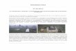 DOGAĐAJI 2014 - Osijekdeutsche-gemeinschaft.eu/wp-content/uploads/2017/05/Arhiva-vijesti-2014.pdf · nadgrobni spomenici slomljeni su pri dnu, te odloženi pored svakoga groba. Nakon