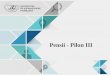 Pensii - Pilon IIIasfromania.ro/edu/wp-content/uploads/2018/06/Ora-14-Pensii-Pilon-III.pdf · motivare a salariaţilorşide management al resurselor umane, dar şio soluţie avantajoasădin