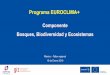 b. Componente BBE - Programa EUROCLIMA+euroclimaplus.org/images/Bosques/ponencias/archivos/b-Componente-BBE.pdf · Manejo de recursos no maderables en Bolivia y Per ... adaptación