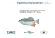 Sistema de Controle da Pesca SCPESCA/MS 10 - 2003 · Neste trabalho encontram-se informações sobre a pesca profissional-artesanal e esportiva na Bacia do Alto Paraguai - BAP/MS,