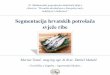 Segmentacija hrvatskih potrošača svježe ribe · 2018-05-21 · FAKTORSKA ANALIZA (1) FAKTOR 1 –pozitivni stavovi o svježoj ribi Naboj faktora % objašnjene varijance Volim jesti
