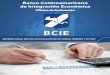 Banco Centroamericano de Integración Económica · Durante el año 2014 se concluyeron los modelos de cuestionarios e indicadores a utilizar para las evaluaciones ... en algún momento