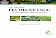 Teoretický úvod: FLUORESCENCE - Katedra experimentální biologie rostlin, PřF UK v ...kfrserver.natur.cuni.cz/lide/edmunz/praktika_fr/mb130c14/... · 2011-09-26 · 4 pigment