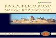 PRO PUBLICO BONO - MTA Kreal-j.mtak.hu/11941/4/pro-publico-bono-magyar-kozigazgatas-2013-4-1.pdf · sítani fogják a lisszaboni szerződést, de, mint láttuk, éppen ez történt