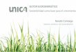 Asesora Jurídica y de Sostenibilidad - CBD · Bio-hidrocarburos Cosméticos Bioplásticos Nuevos usos Autobus Avión Motocicleta Productos Azúcar Etanol Bioeletricidad Bio-etileno
