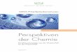Perspektiven der Chemie - Gesellschaft Deutscher Chemiker · Gerade für junge Wissenschaftlerinnen und Wissenschaftler, die eigenständige Themen erschließen wol-len, ist es schwierig,