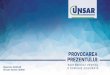 Alexandru CIUNCAN Director General UNSAR PPT 2019/Ciuncan_Alex.pdf · Campanie de comunicare media dedicată asigurărilor de locuințe vizând conștientizarea riscurilor de către
