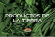 PRODUCTOS DE LA TIERRA - Blasetti · que les gustaría en la cocina. Nuestras verduras frescas y tiernas , son cultivadas en las mejores huertas del valle del Ebro y los zumos naturales