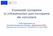 Consorţii europene si infrastructuri pan-europene de cercetare · 2014-04-23 · de competenta etc, ... Fiecare proiect poate beneficia de sprijin financiar prin intermediul Programului