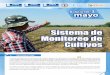 Sistema de Monitoreo de Cultivos Boletín SMC... · 2016-05-19 · Sistema de Monitoreo de Cultivos mayo 2013 . 5. ÁREA OCCIDENTE. En el occidente del país, los estadíos de los