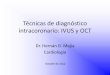 Técnicas de diagnóstico intracoronario: IVUS y OCT · Parámetros cuantitativos obtenidos por IVUS • Determinación del segmento de referencia. • Medidas de la luz del vaso: