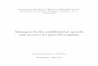 Strategies for the establishment, growth and success of a ... · University of Macedonia - Masters in Information Systems . Informatics & Telematics Strategies - Professor: A. A