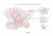 MARCELA MILANEZI DE ALMEIDA Estudo da anatomia …...Estudo da anatomia radicular de segundos molares superiores por meio da Microtomografia Computadorizada Dissertação apresentada