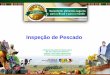 Inspeção de Pescado‡ÃO... · 2016-12-03 · Inspeção de Pescado Cristhiane Stecanella de Oliveira Cattani MV, Dra. Ciencia dos Alimentos Auditora Fiscal Federal Agropecuária