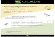 A Dráva kincsei foglalkozás az Ős-Dráva Látogatóközpontban ...ddnp.nemzetipark.gov.hu/_user/browser/File/kn/2019_kn_ODLK_ovodas2.pdf · méhészkedés, legeltetés) és az