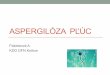 Prezentácia programu PowerPoint¡re/Košice_2018/A... · •sekundárne – TBC v kavernách, bronchiektázie, po pľ. inf. bronchiálne cysty, absces, sarkoidóza •je najčastejšou