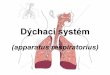 Dýchací systém - Masaryk University · 2015-10-29 · Funkce laryngu: respirace tvorba hlasu: • plicae vocales se napínají a přikládají k sobě • Rima glottidis se uzavírá