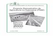 PROYECTO DEMOSTRATIVO DEfhia.org.hn/dowloads/informes_tecnicos/Inf_Tec_la_esperanza_2000.pdf · Efecto de tres tipos de cobertores al suelo sobre la producción de dos variedades