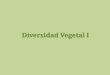 Diversidad Vegetal I - uncor vegetal i...REGLAMENTO de Diversidad Vegetal I Regularidad (requisitos): -Asistir al 80 % de las clases teóricas.-Aprobar el 80 % de las evaluaciones