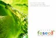 FOOD SERVICE & CATERING 의 준말인 FOSECA는 Cheerful을 … · 삼성전자 박린공장을 시작으로 베트남에서도 선진 단체급식 사업을 이끌어가고 있습니다