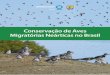 Conservação de Aves Migratórias Neárticas no Brasil...para aves migratórias neárticas no Brasil. além dos artigos, ao final desta edição encontram-se também os mapas com