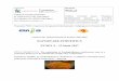 Contractor Beneficiarbiodiatech.ro/wp-content/uploads/2017/07/prezentare-etapa-4-pe-website.pdf · REZULTATELE ETAPEI IV Activitatea IV.1. Extracţia şi caracterizarea comparativă