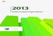 Έκθεση δραστηριοτήτων 2013 · 30-34 Σχέσεις με τα ενδιαφερόμενα ... κρίσης, η ΕΕ ενέκρινε το 2013 τη σύσταση