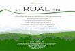 Graphic1 - Rual SRLrualsrl.ro/wp-content/uploads/2012/12/rual.pdf · pentru rulmenti de toate dimensiunile. Pentru ambalajele produse de societatea noasträ se poate face tratarea