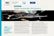 Conservare Viaţa sturionilor din Dunăreold2015.danube-sturgeons.org/wp-content/uploads/2013/01/...VIAŢA STURIONILOR DIN DUNĂRE Obiceiuri legate de migraţie Cele mai multe specii