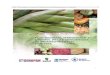Plan “Prevención y Control de Deficiencias de Micronutrientes en … · 2018-12-20 · (Contraloría General de la República, 2007) y una densidad de 41.3 habitantes por km2