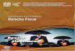 COLABORADORES - UNAMfcasua.contad.unam.mx/apuntes/interiores/docs/2016/contaduria/3/apuntes/apunte_1452.pdfEn la primera unidad se identificará el derecho fiscal o tributario dentro