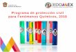 Programa de protección civil para Fenómenos Químicos, 2018cgproteccioncivil.edomex.gob.mx/sites/cgproteccioncivil... · 2018-11-26 · proceso de manejo de materiales químicos