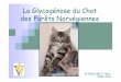 La Glycogénose du Chat des Forêts Norvégienness1.e-monsite.com/2009/05/11/41918193la-glycogenose... · Examens postmortem Histologie Accumulation intracellulaire multisystémique