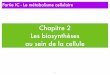 Chapitre 2 Les biosynthèses au sein de la celluleekladata.com/bcpst1rostand.eklablog.fr/perso/Metabolisme/... · 2015-03-18 · Le ﬂottement de la 3ème base : le wobble I : inosine,