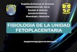FISIOLOGIA DE LA UNIDAD FETOPLACENTARIAsbc7a5cb933987762.jimcontent.com/download/version...FISIOLOGIA DE LA UNIDAD FETOPLACENTARIA La placenta cumple funciones que en la vida extrauterina,